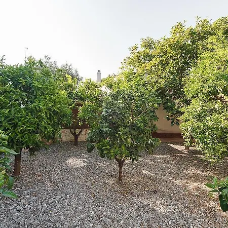 Antico Ulivo לינה וארוחת בוקר מונופולי