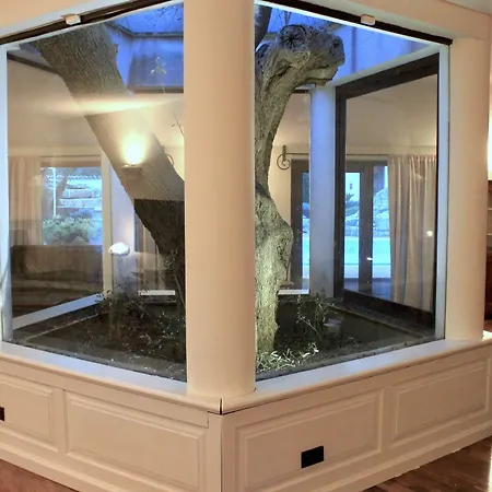 Oda ve Kahvaltı Antico Ulivo