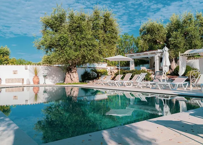 Bed & Breakfast Antico Ulivo